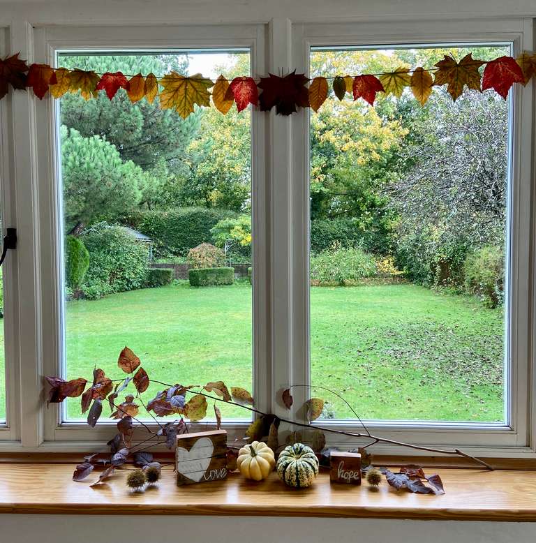 Hanging leaves
